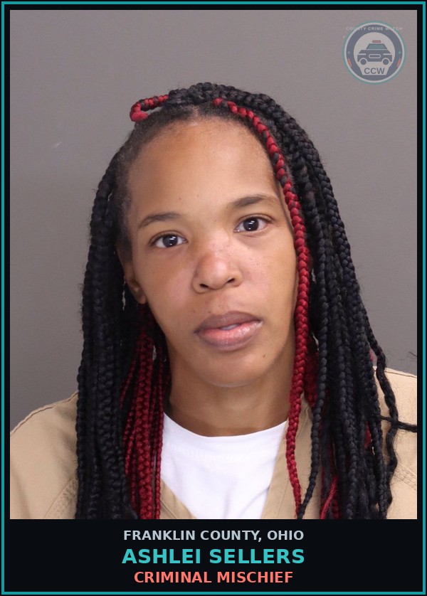Booking mugshot of Ashlei Sellers in Franklin County