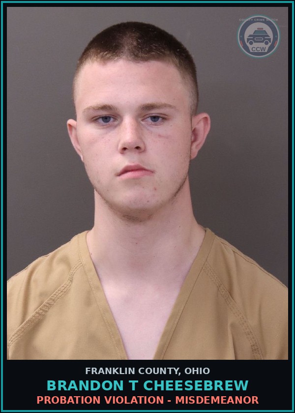 Booking mugshot of Brandon T Cheesebrew in Franklin County