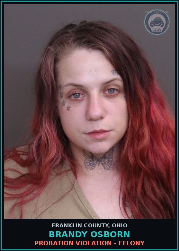 Booking mugshot of Brandy Osborn in Franklin County