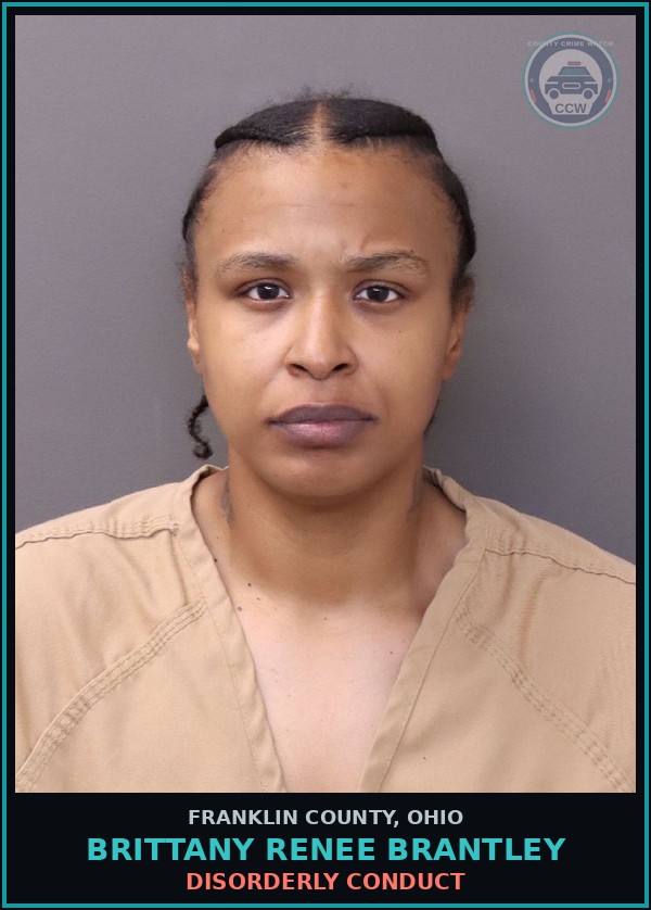 Booking mugshot of Brittany Renee Brantley in Franklin County