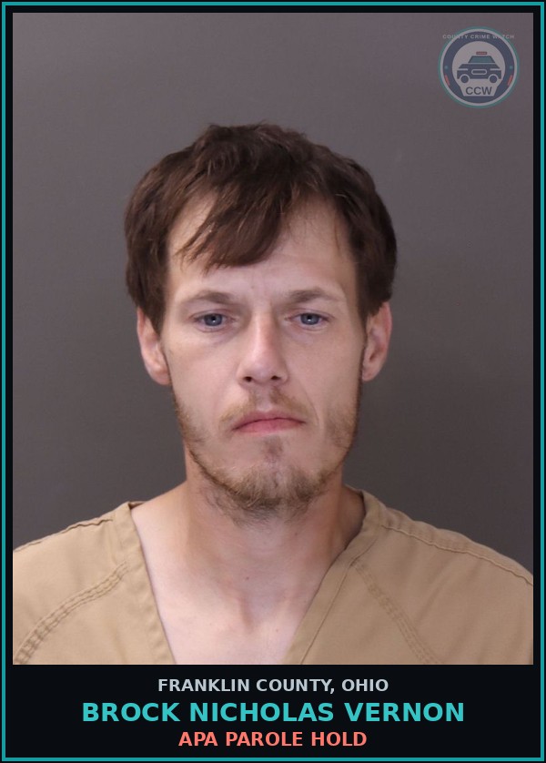 Booking mugshot of Brock Nicholas Vernon in Franklin County