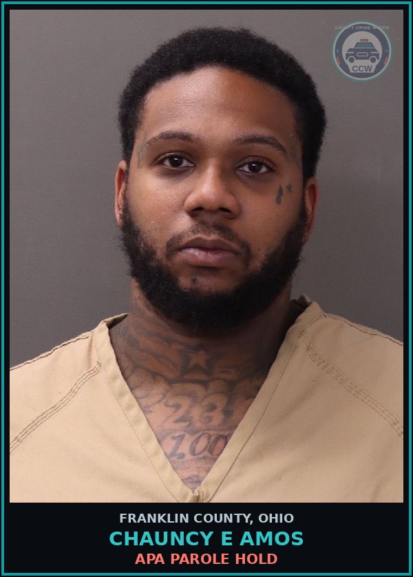 Booking mugshot of Chauncy E Amos in Franklin County