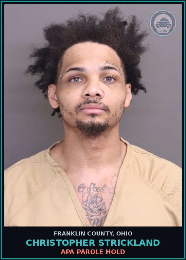 Booking mugshot of Christopher Strickland in Franklin County