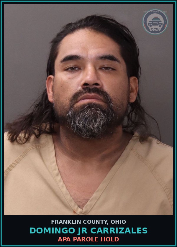 Booking mugshot of Domingo Jr Carrizales in Franklin County