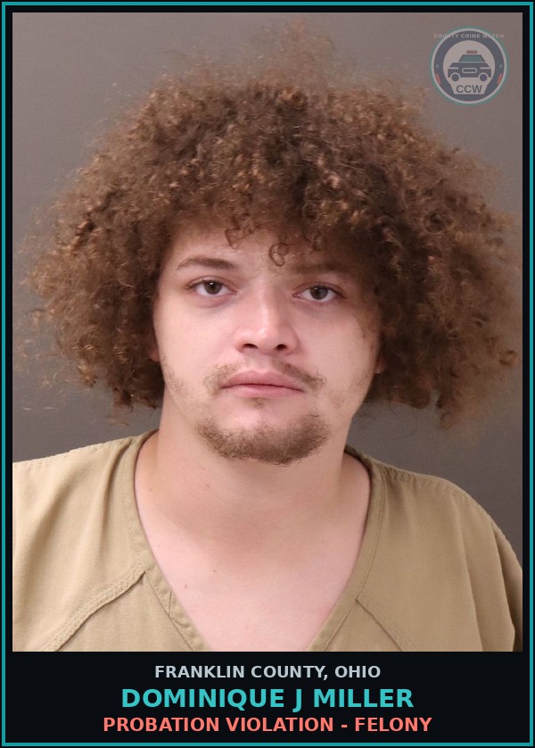 Booking mugshot of Dominique J Miller in Franklin County
