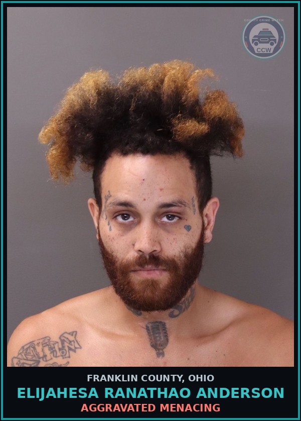 Booking mugshot of Elijahesa Ranathao Anderson in Franklin County