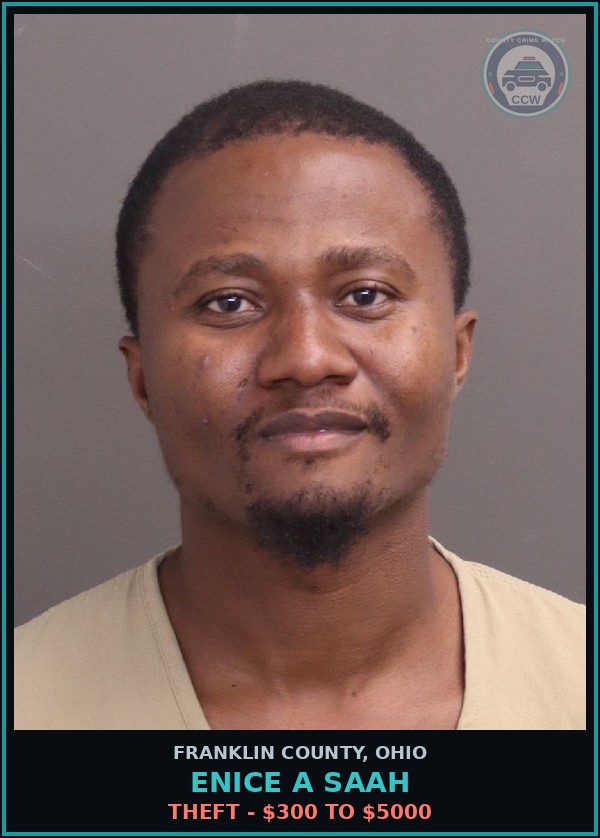 Booking mugshot of Enice A Saah in Franklin County