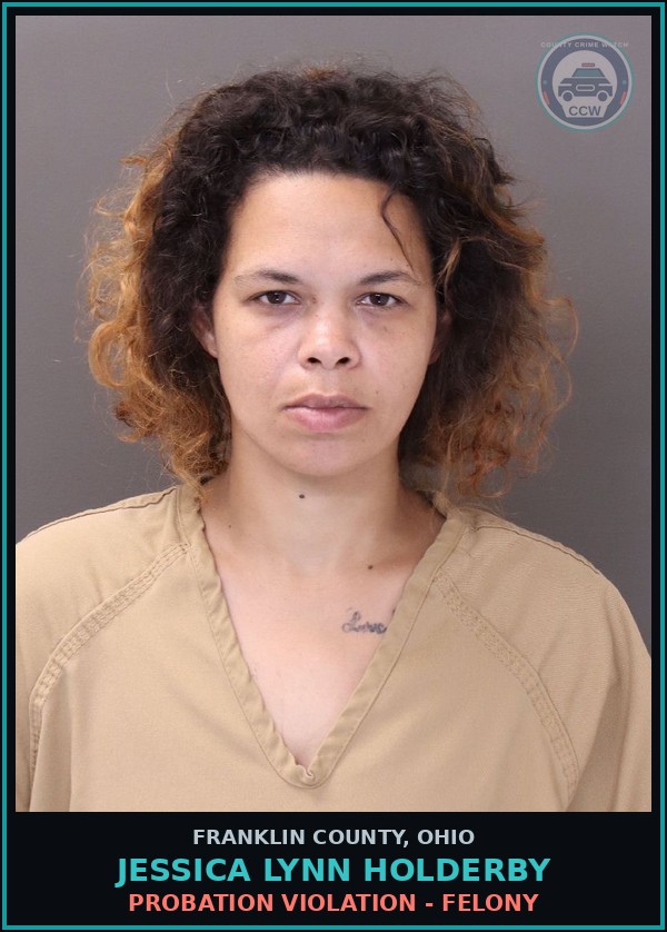 Booking mugshot of Jessica Lynn Holderby in Franklin County