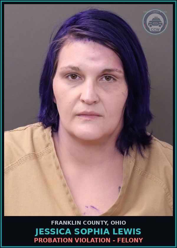 Booking mugshot of Jessica Sophia Lewis in Franklin County