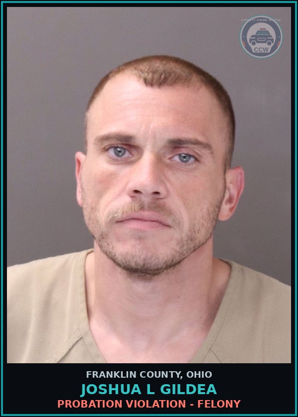 Booking mugshot of Joshua L Gildea in Franklin County
