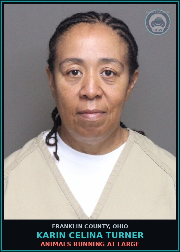 Booking mugshot of Karin Celina Turner in Franklin County