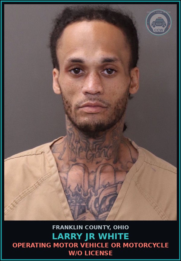Booking mugshot of Larry Jr White in Franklin County