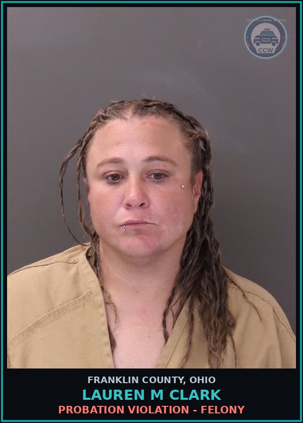 Booking mugshot of Lauren M Clark in Franklin County