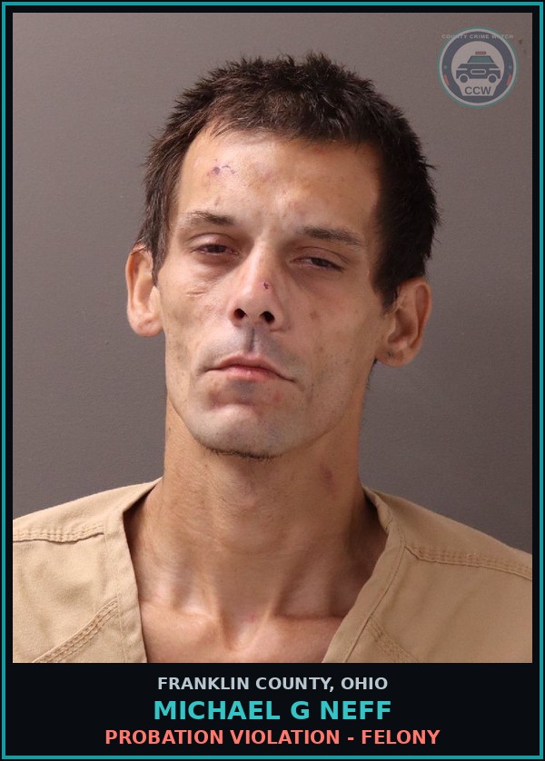 Booking mugshot of Michael G Neff in Franklin County