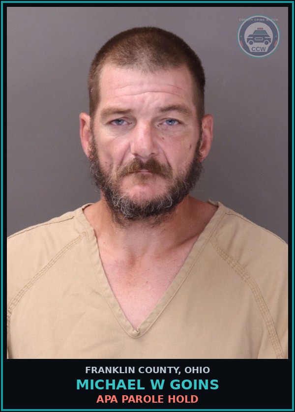 Booking mugshot of Michael W Goins in Franklin County