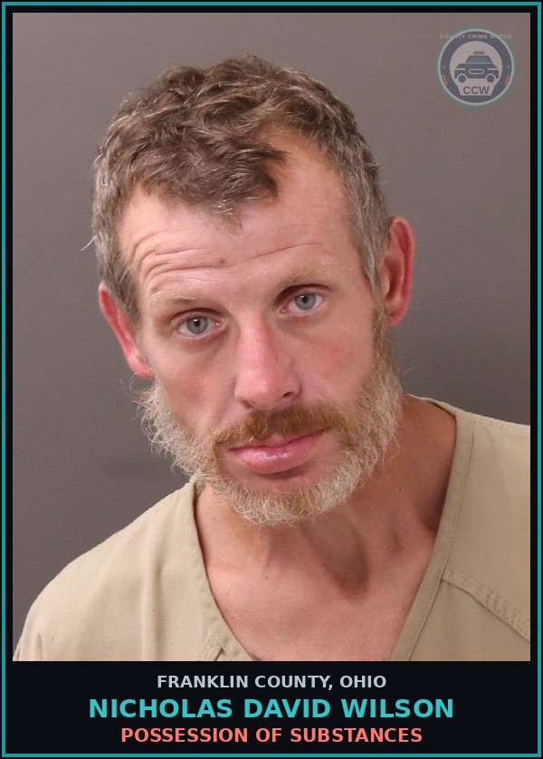 Booking mugshot of Nicholas David Wilson in Franklin County