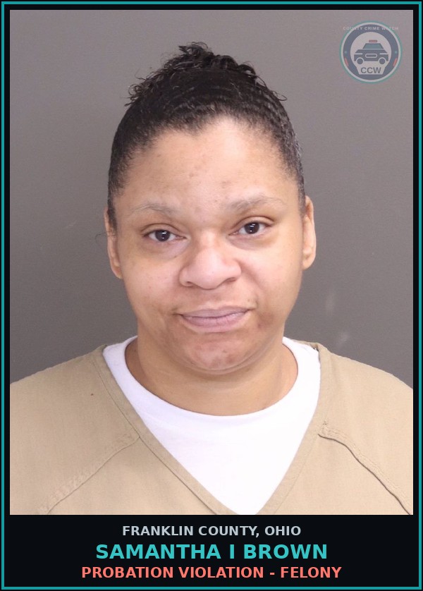 Booking mugshot of Samantha I Brown in Franklin County