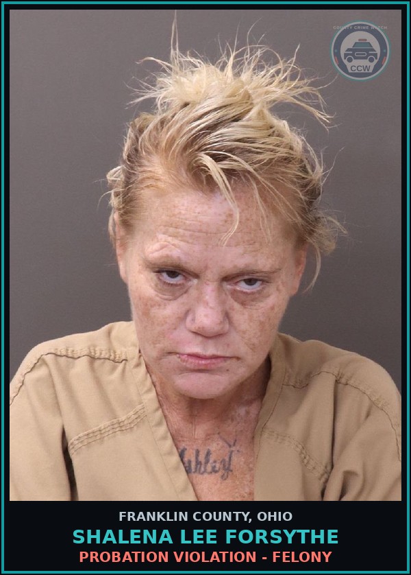Booking mugshot of Shalena Lee Forsythe in Franklin County