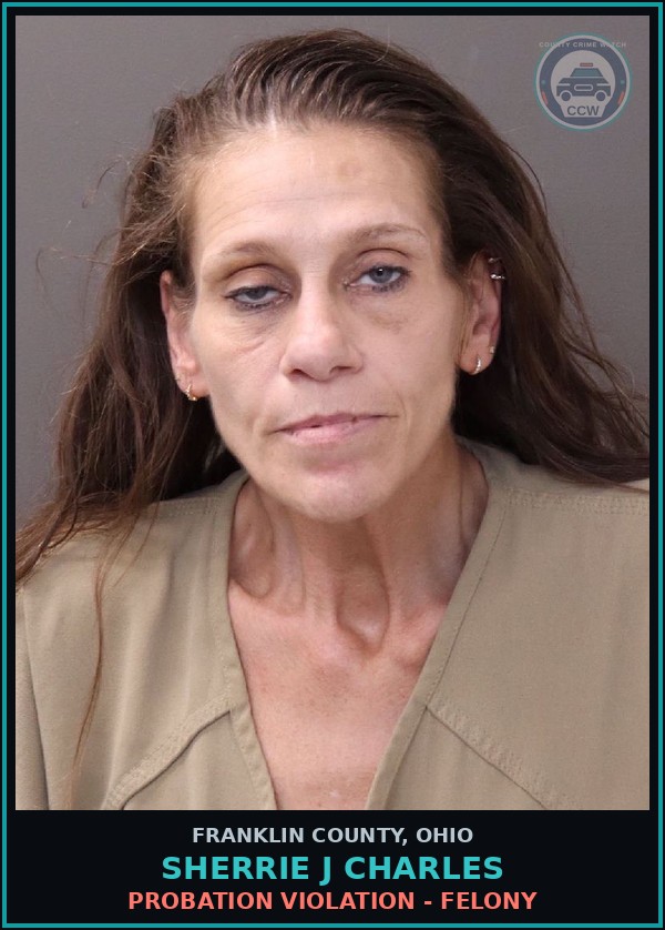Booking mugshot of Sherrie J Charles in Franklin County