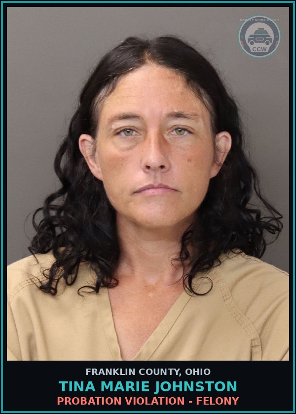 Booking mugshot of Tina Marie Johnston in Franklin County