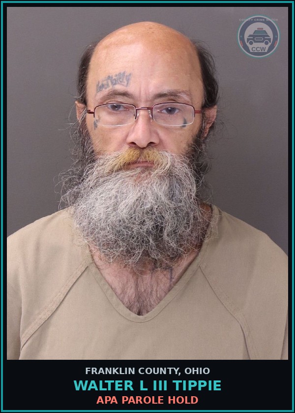 Booking mugshot of Walter L Iii Tippie in Franklin County