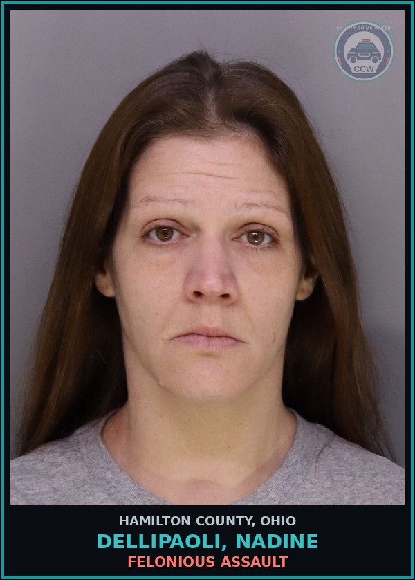 Booking mugshot of Dellipaoli, Nadine in Hamilton County