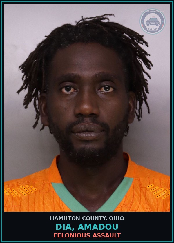 Booking mugshot of Dia, Amadou in Hamilton County