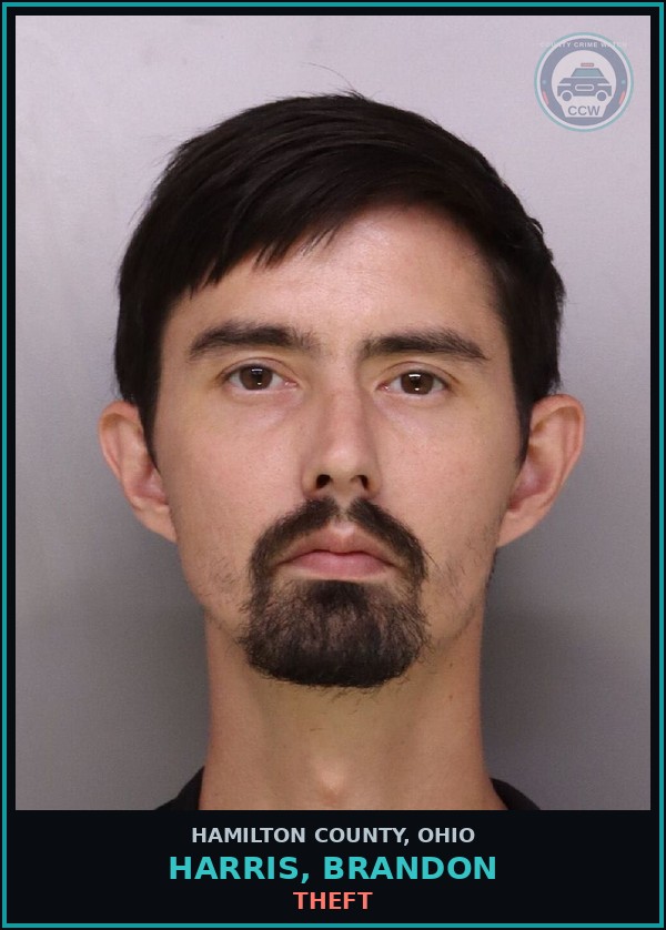 Booking mugshot of Harris, Brandon in Hamilton County