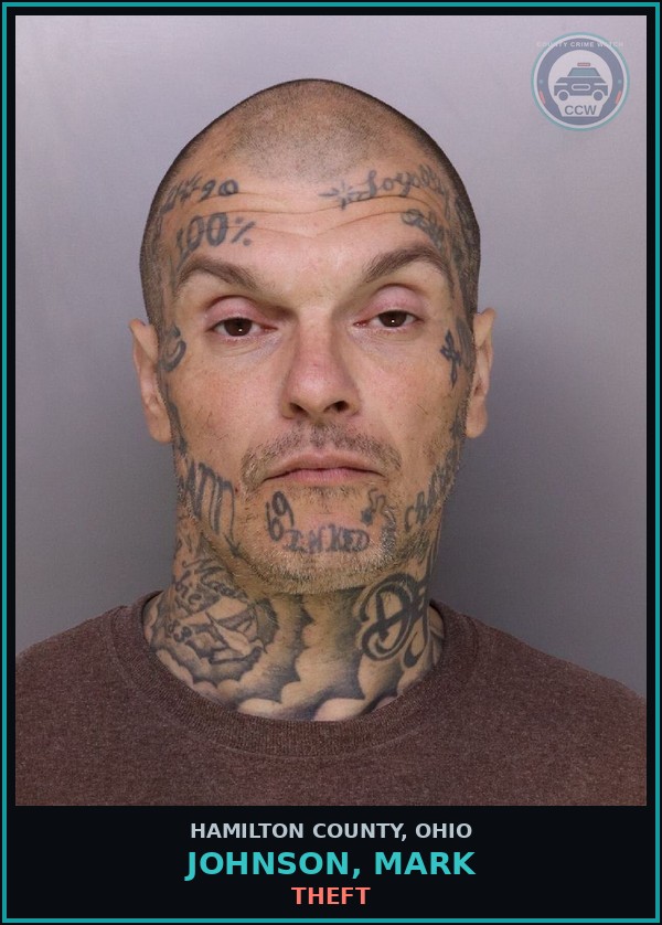 Booking mugshot of Johnson, Mark in Hamilton County