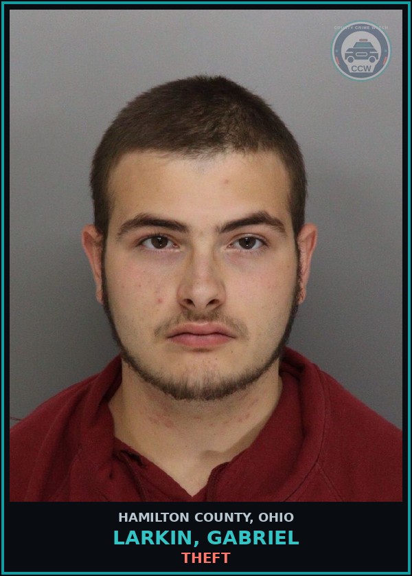Booking mugshot of Larkin, Gabriel in Hamilton County