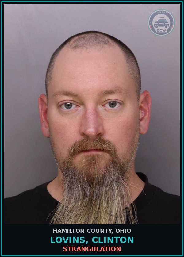 Booking mugshot of Lovins, Clinton in Hamilton County