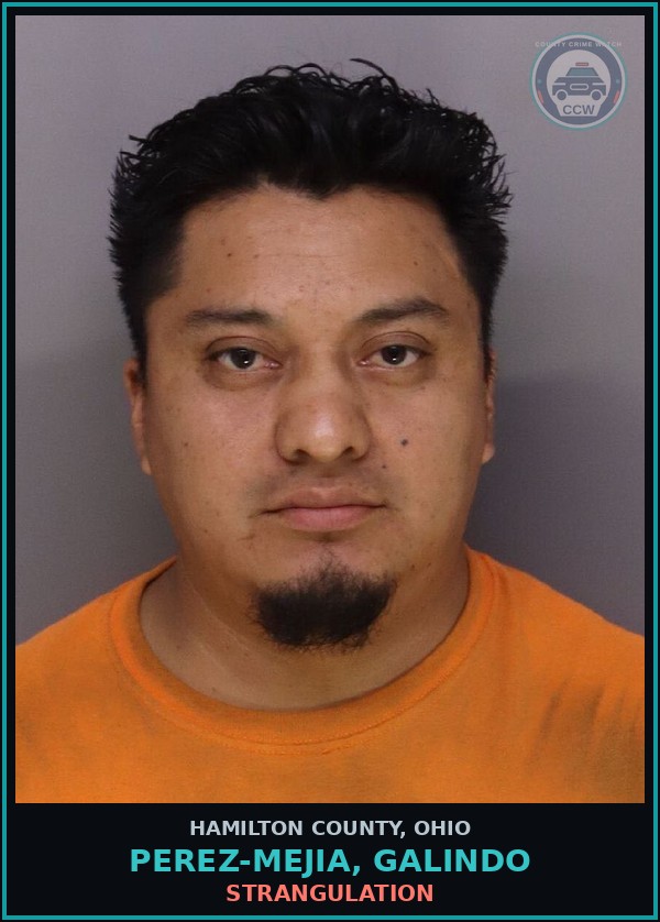Booking mugshot of Perez-Mejia, Galindo in Hamilton County