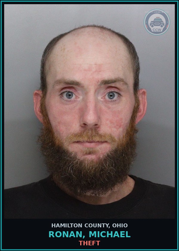 Booking mugshot of Ronan, Michael in Hamilton County