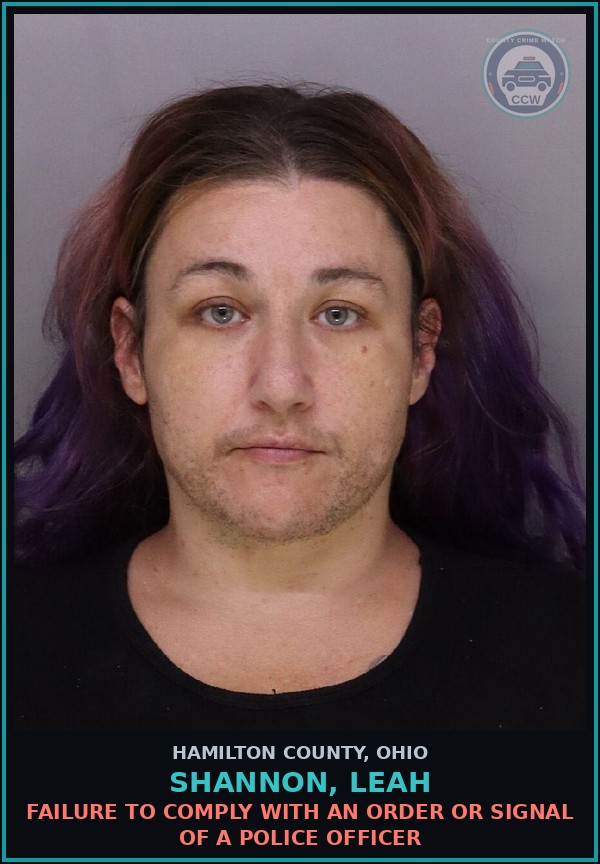 Booking mugshot of Shannon, Leah in Hamilton County