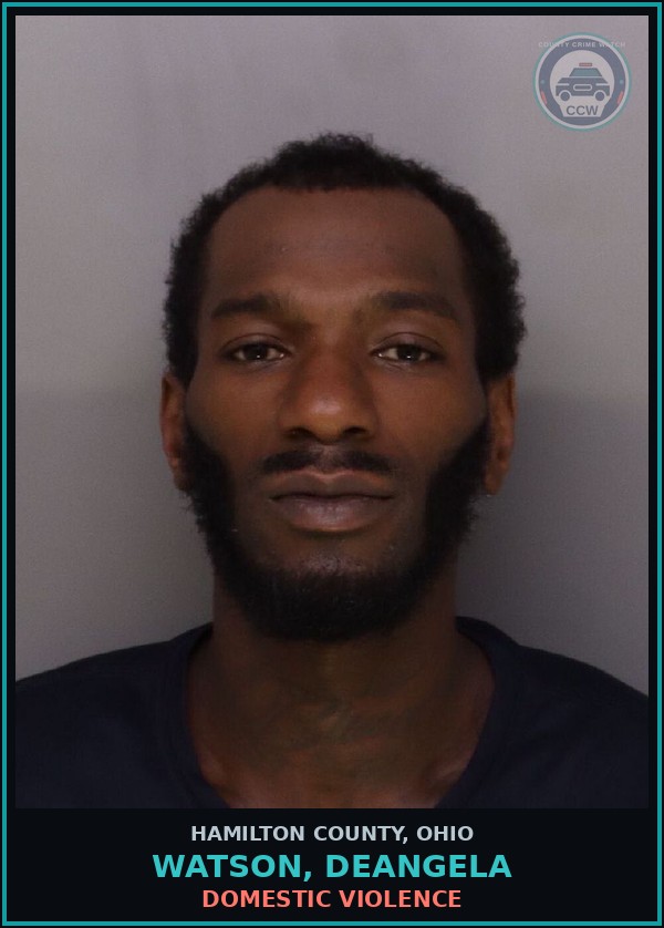 Booking mugshot of Watson, Deangela in Hamilton County
