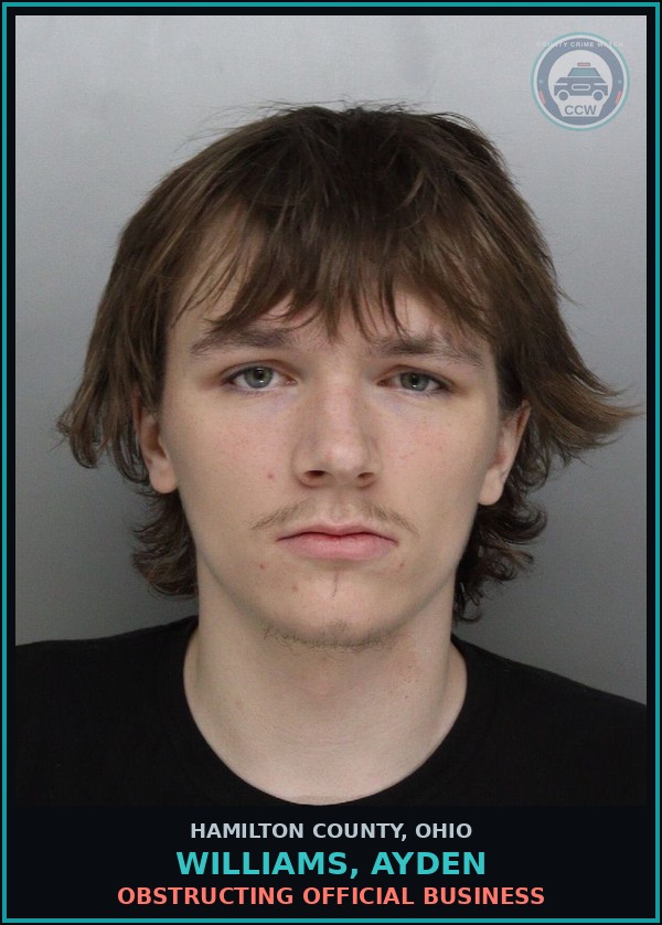 Booking mugshot of Williams, Ayden in Hamilton County