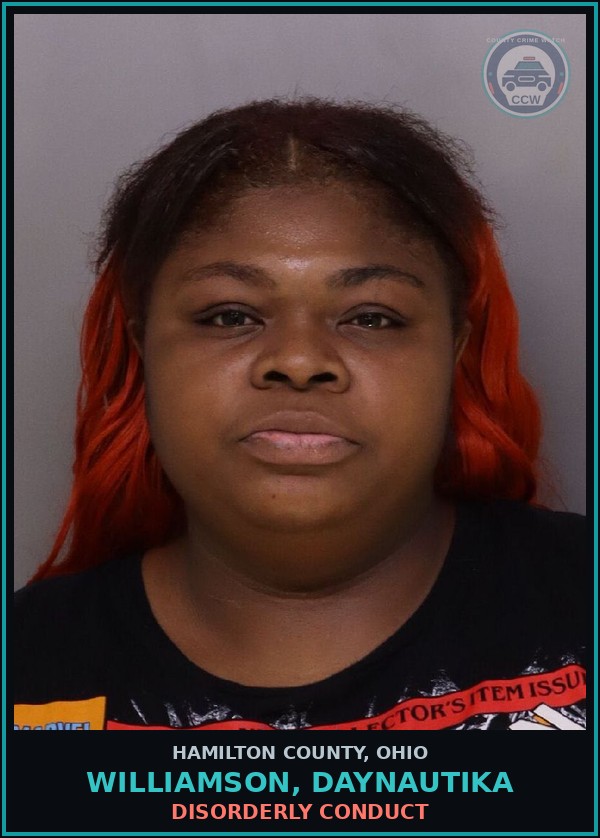 Booking mugshot of Williamson, Daynautika in Hamilton County