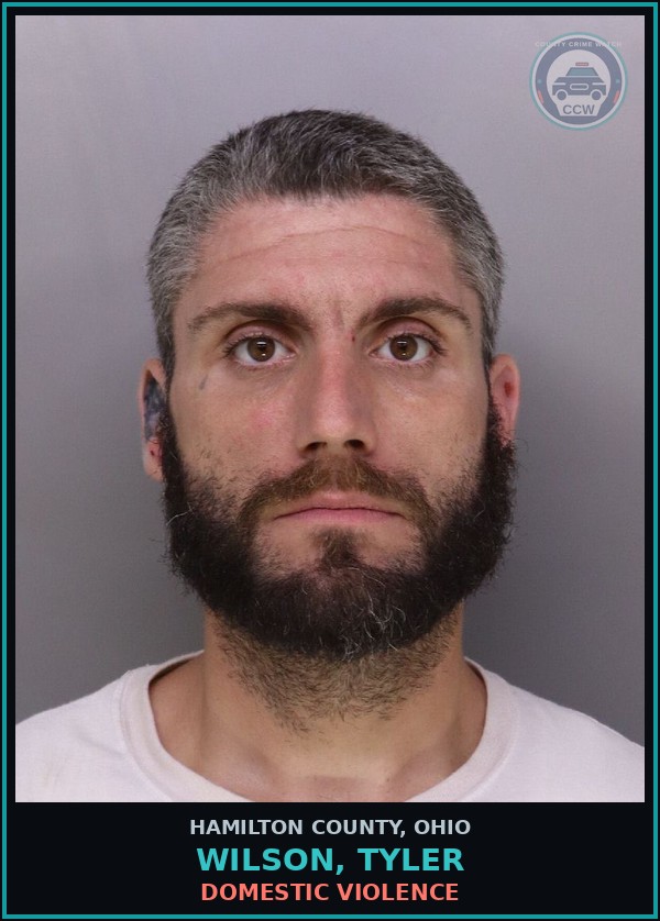 Booking mugshot of Wilson, Tyler in Hamilton County