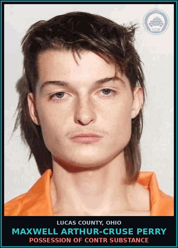 Booking mugshot of Maxwell Arthur-Cruse Perry in Lucas County