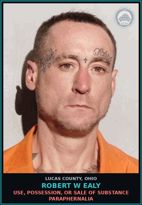 Booking mugshot of Robert W Ealy in Lucas County