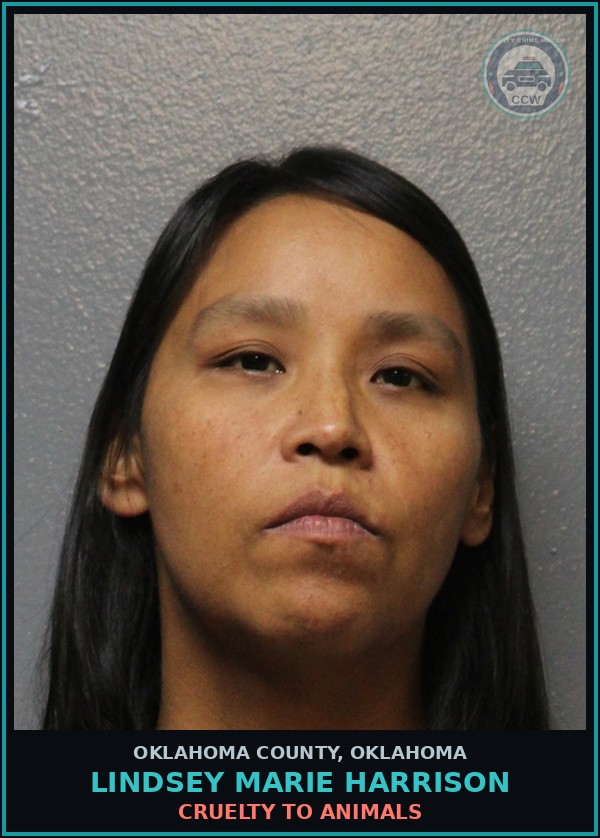 Booking mugshot of Lindsey Marie Harrison in Oklahoma County