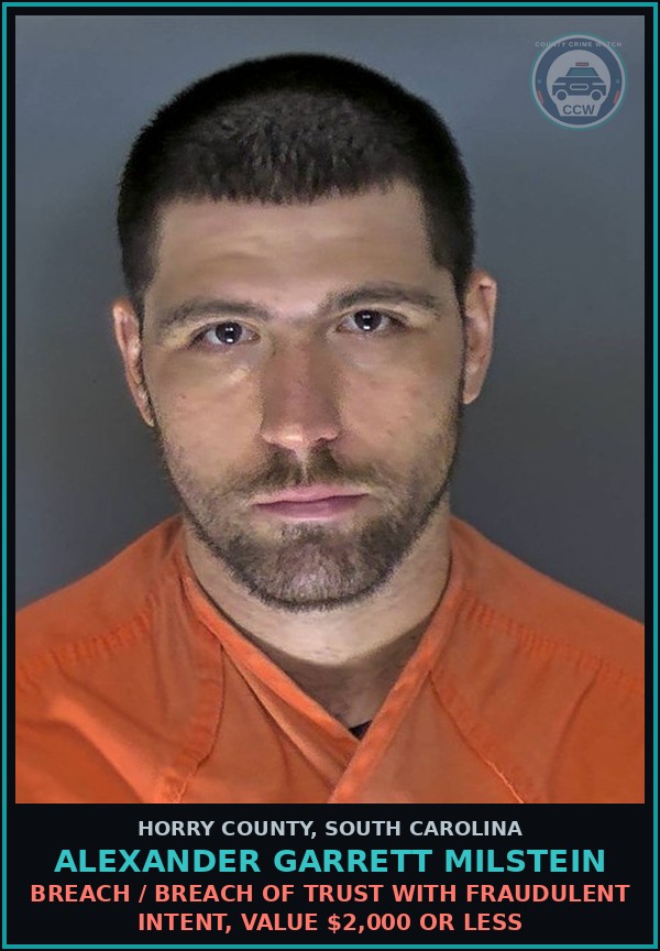 Booking mugshot of Alexander Garrett Milstein in Horry County