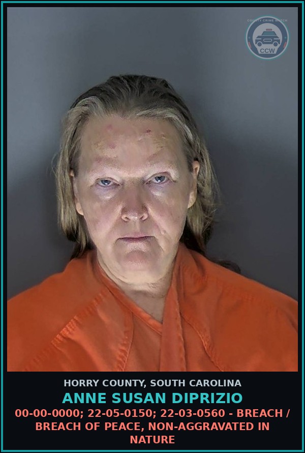 Booking mugshot of Anne Susan Diprizio in Horry County