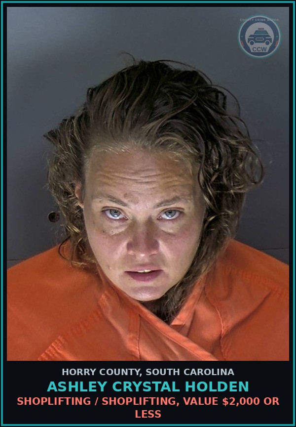 Booking mugshot of Ashley Crystal Holden in Horry County