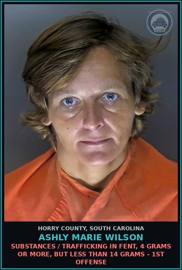 Booking mugshot of Ashly Marie Wilson in Horry County