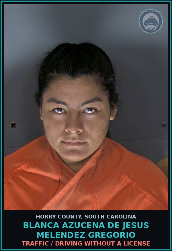 Booking mugshot of Blanca Azucena De Jesus Melendez Gregorio in Horry County