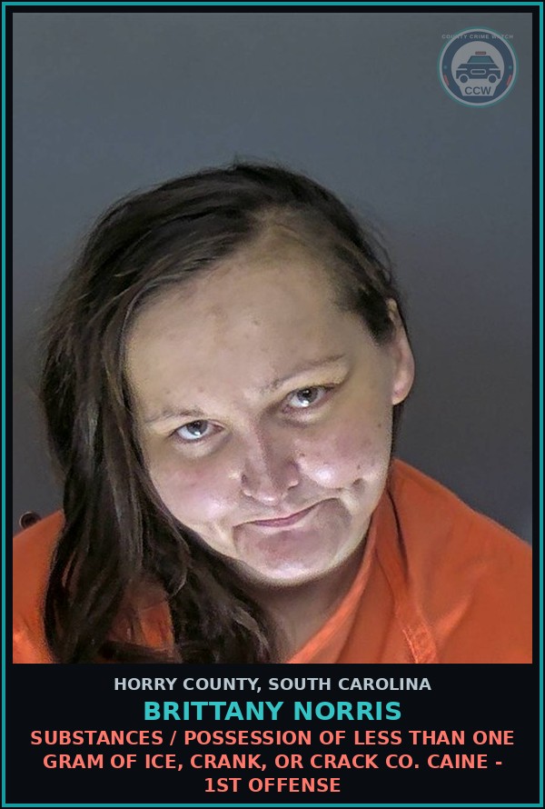 Booking mugshot of Brittany Norris in Horry County