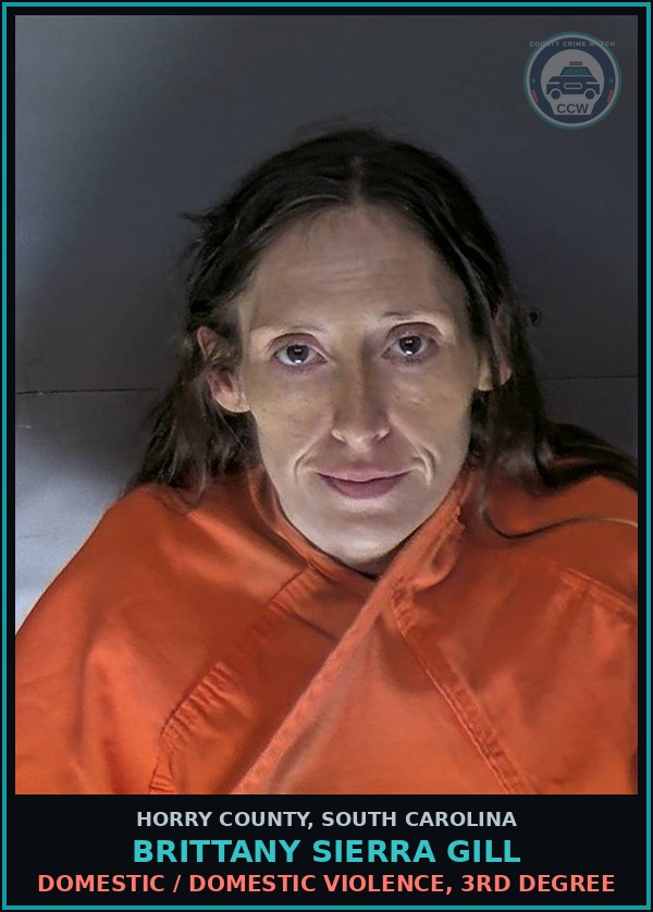 Booking mugshot of Brittany Sierra Gill in Horry County