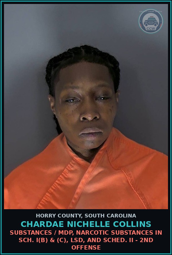 Booking mugshot of Chardae Nichelle Collins in Horry County