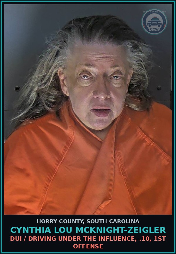 Booking mugshot of Cynthia Lou Mcknight-Zeigler in Horry County